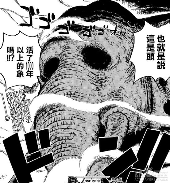 海贼王分析