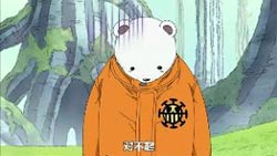 海贼王白熊贝波