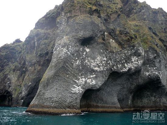 海贼王分析