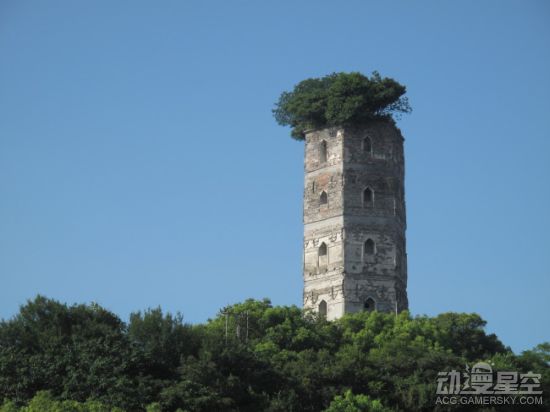 海贼王分析