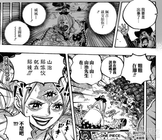 海贼王分析