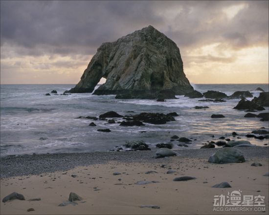 海贼王分析