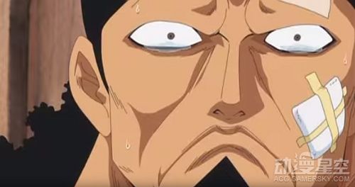 海贼王分析