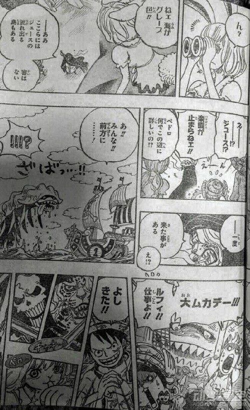 海贼王分析