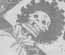 海贼王分析