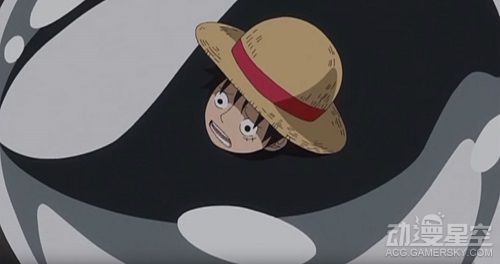 海贼王分析