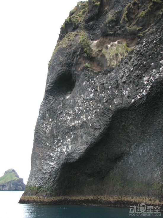 海贼王分析