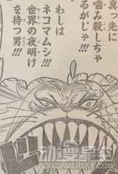 海贼王分析