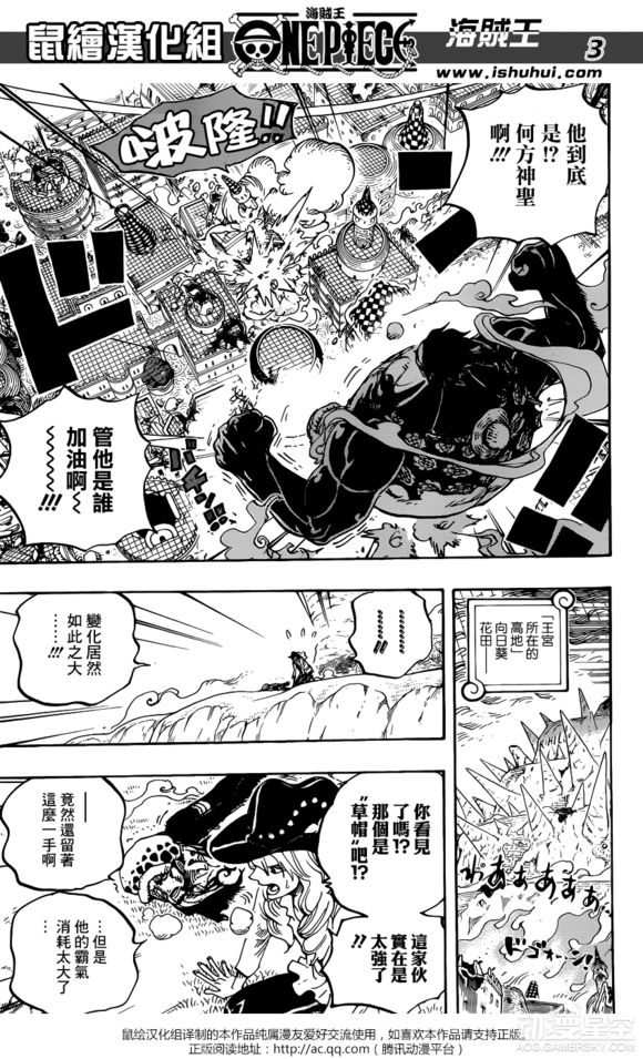 海贼王分析