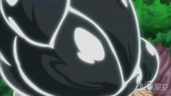 海贼王分析