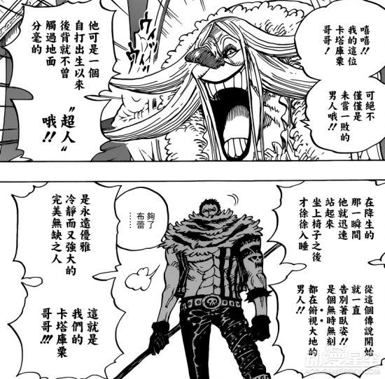 海贼王分析