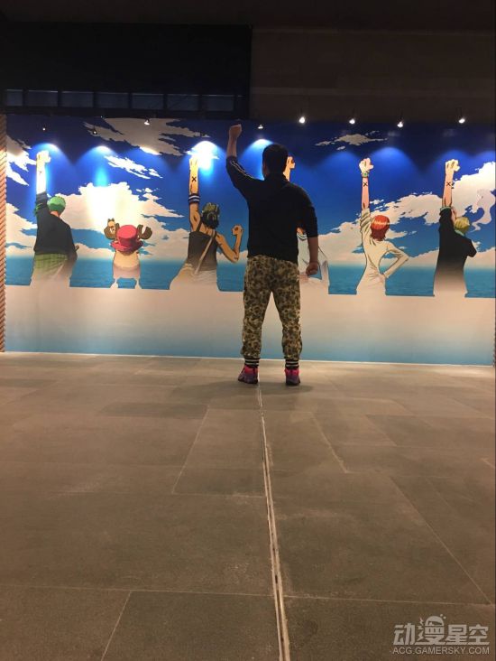海贼王分析