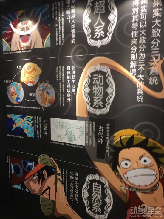 海贼王分析