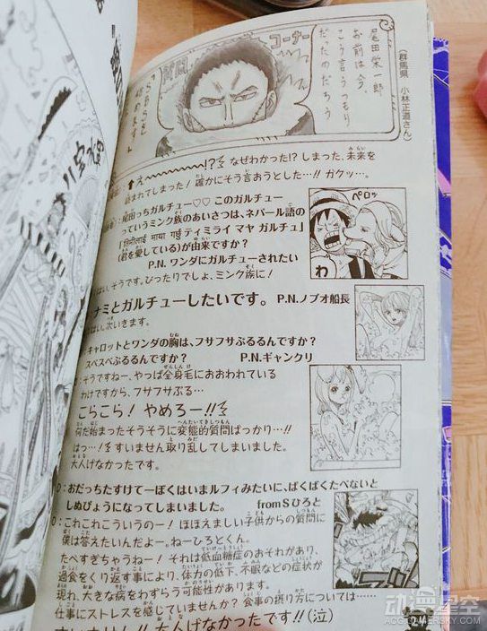 海贼王分析