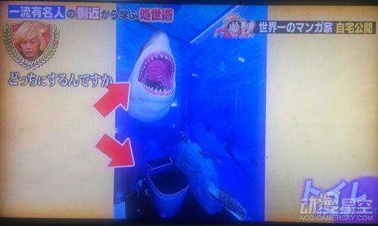 海贼王分析