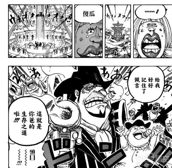 海贼王分析
