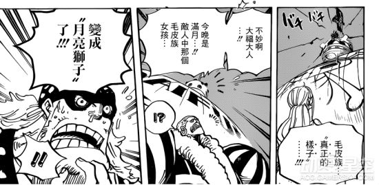 海贼王分析