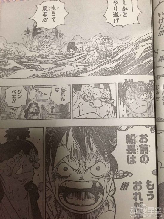 海贼王分析
