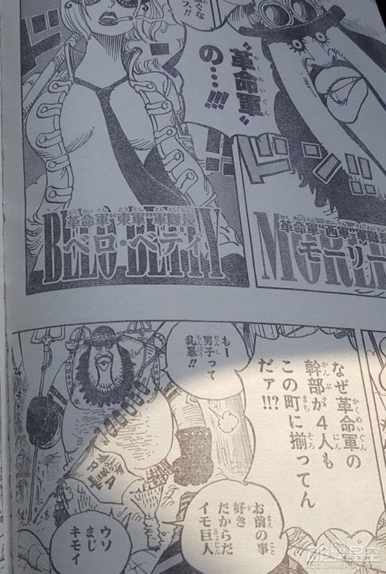 海贼王分析