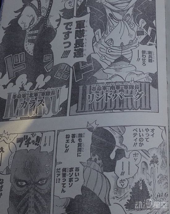 海贼王分析