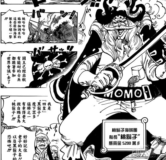 海贼王分析